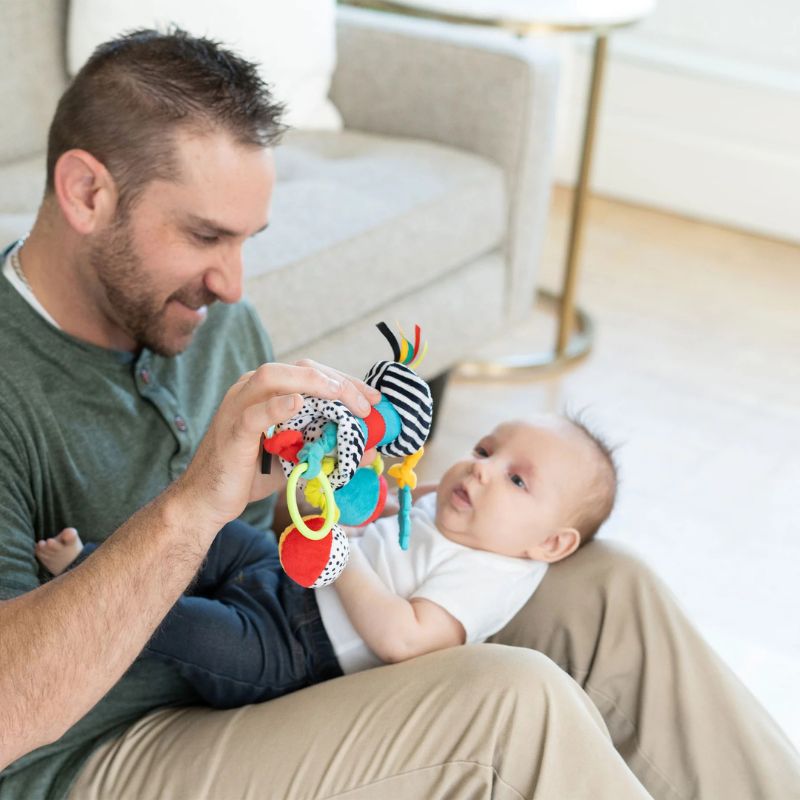 Zaggles Activity Toy