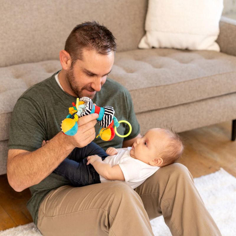 Zaggles Activity Toy