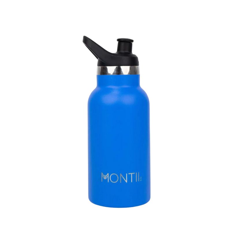 Mini Water Bottle 350ml Blueberry