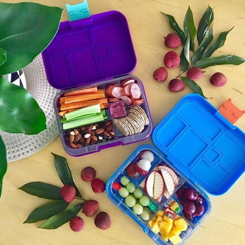 Maxi6 - Primary Tray
