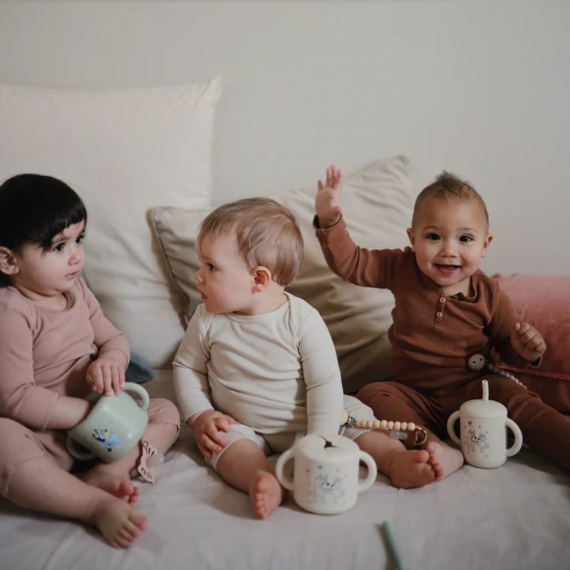 Bluey Silicone Training Cup + Straw