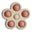 Flower Press Toy Rose/Blush/Shifting Sand