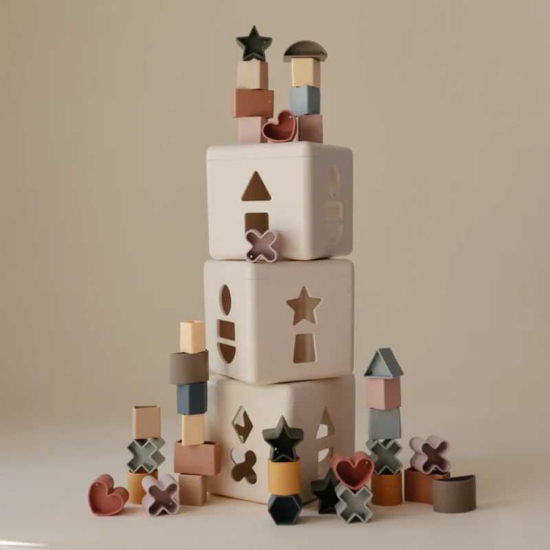 Shape Sorting Box
