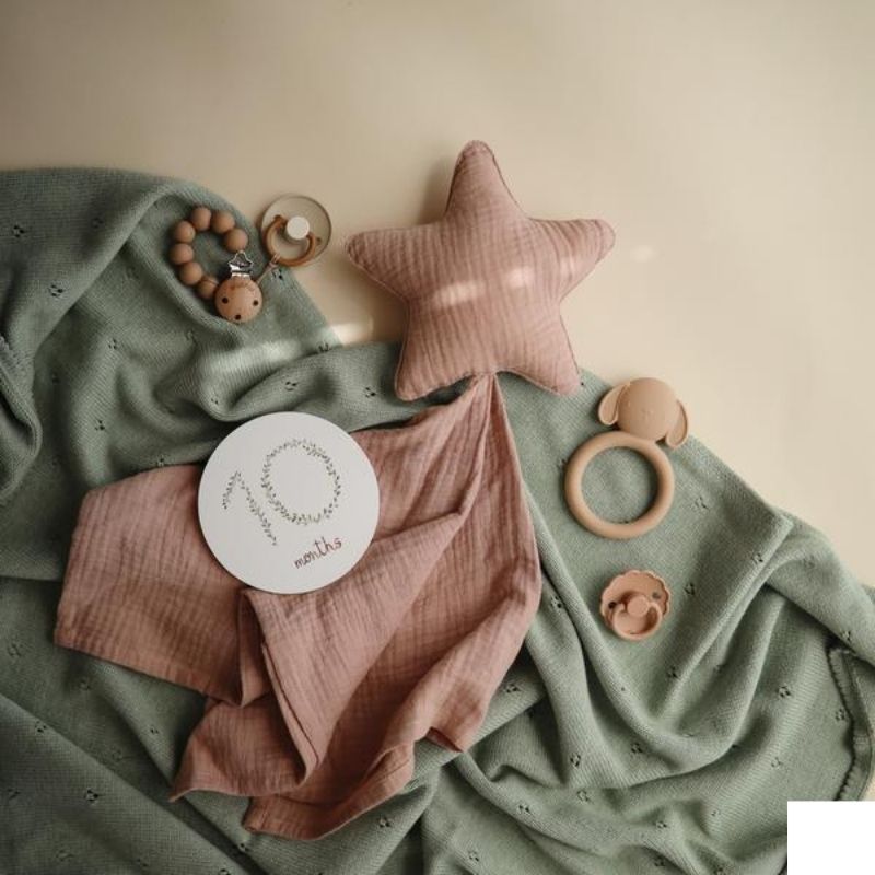 Baby Silicone Teether  Dog