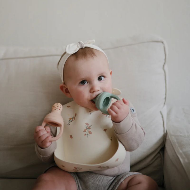 Silicone Fresh Food Feeder 2 Pack