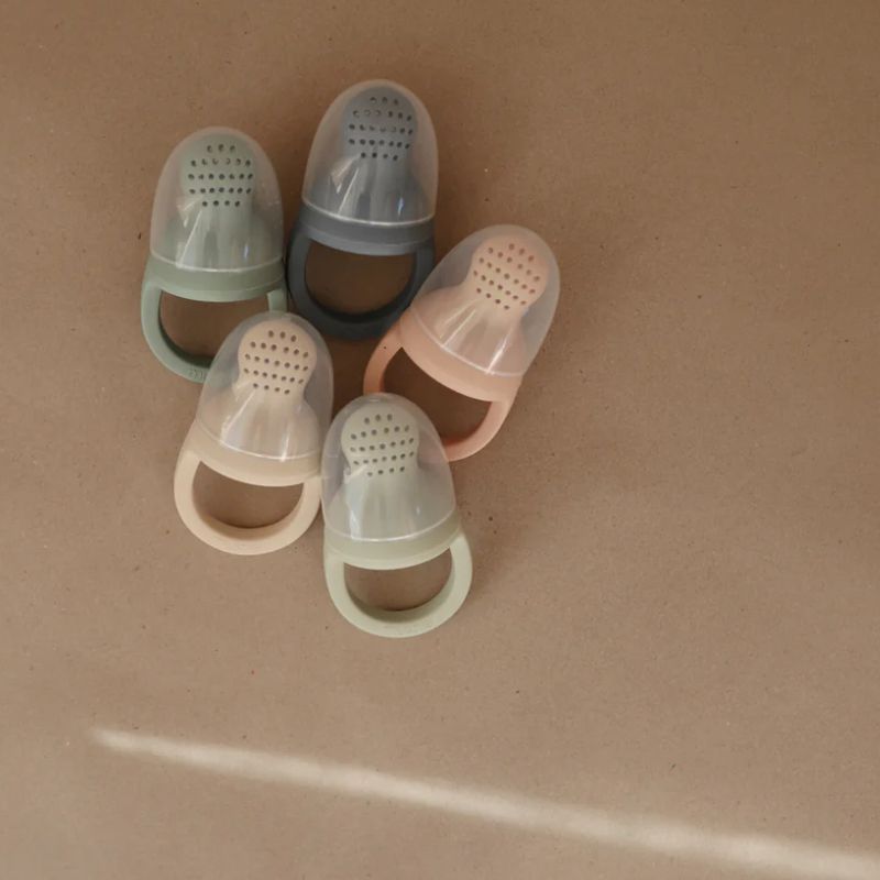 Silicone Fresh Food Feeder 2 Pack