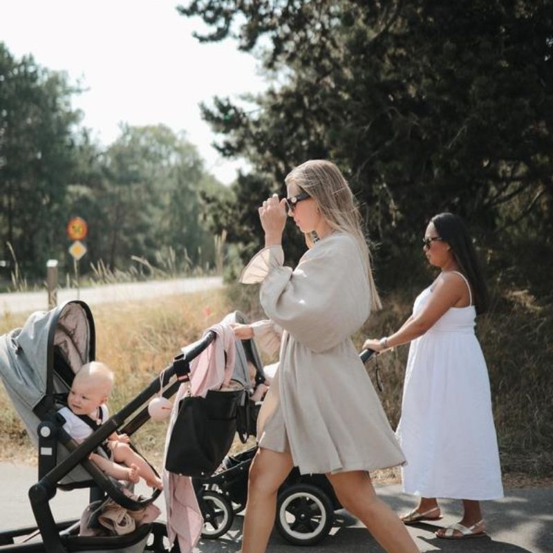 Silicone Pacifier Holder Case Blush