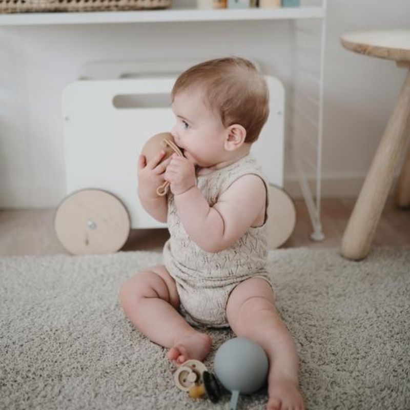 Silicone Pacifier Holder Case Stone