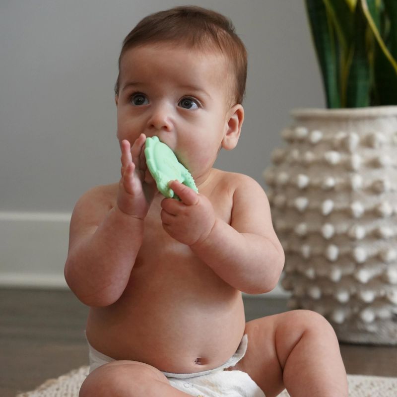 Silicone Teethers - 2 Pack