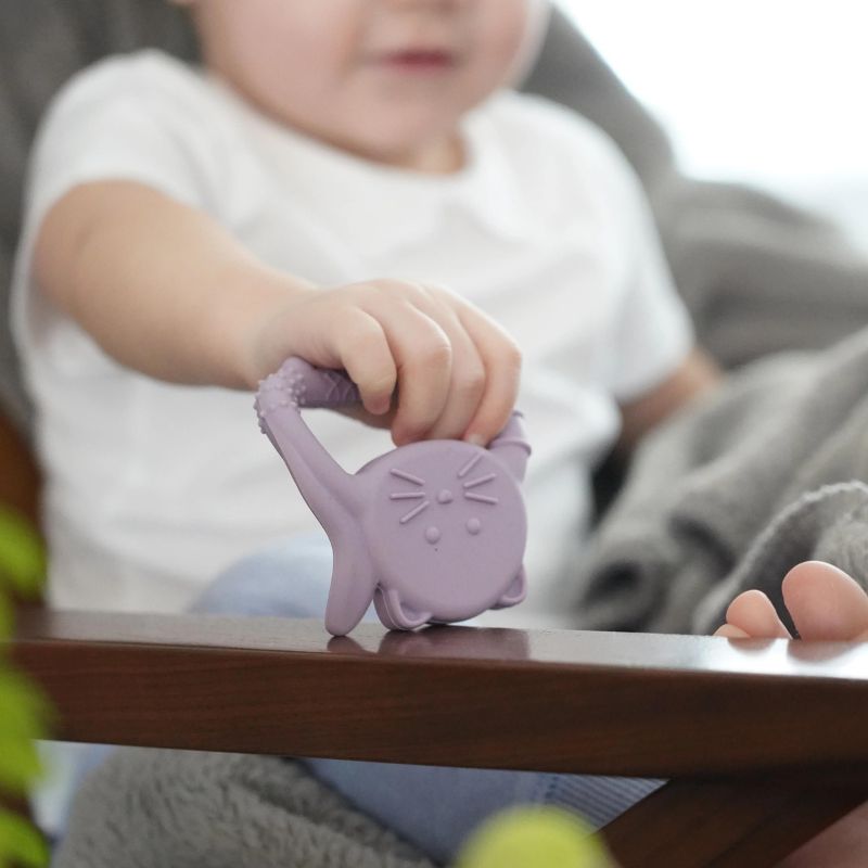 Silicone Teethers - 2 Pack