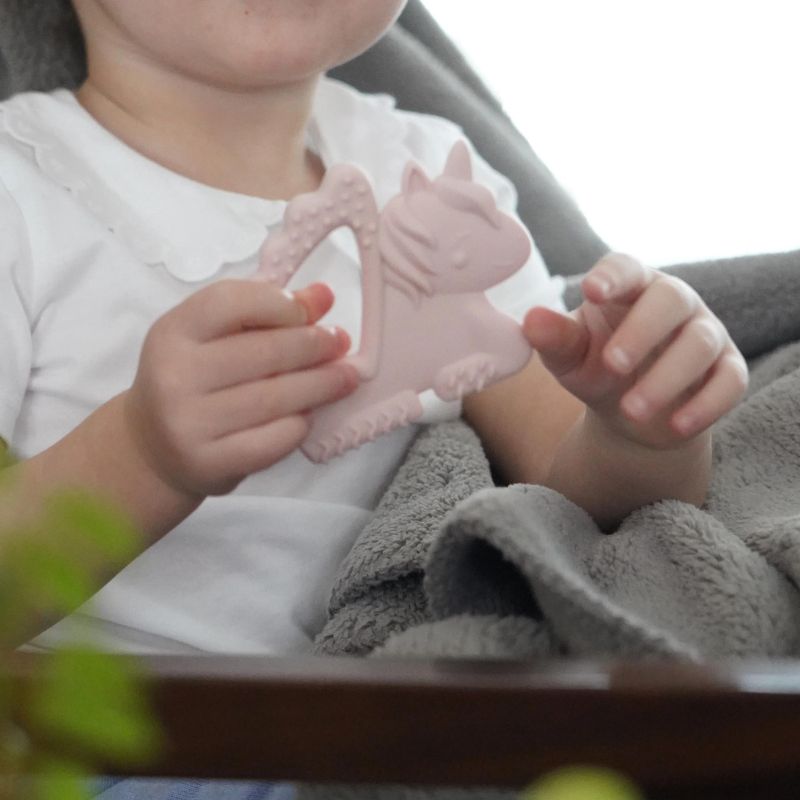 Silicone Teethers - 2 Pack