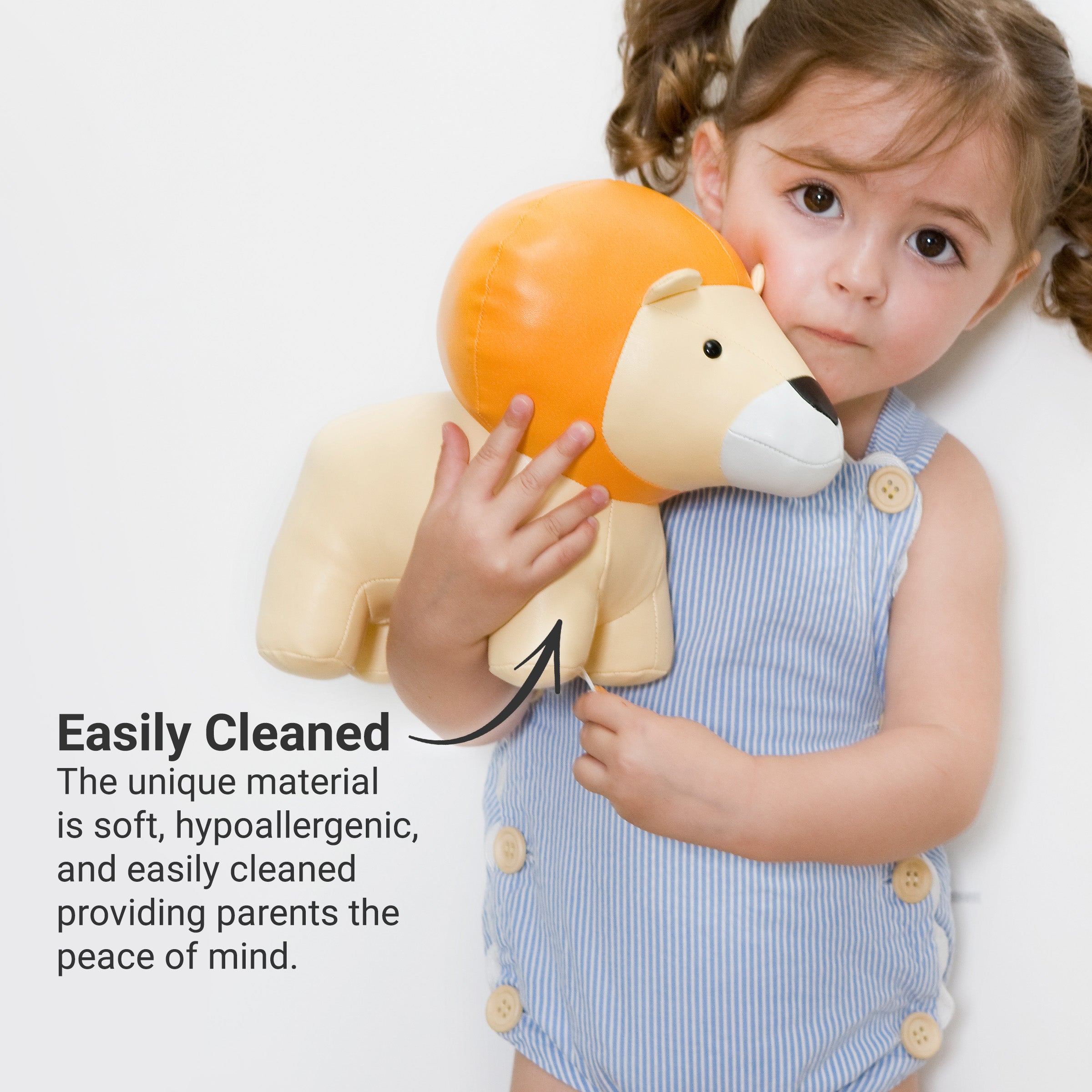 Animaux Comédies Musicales