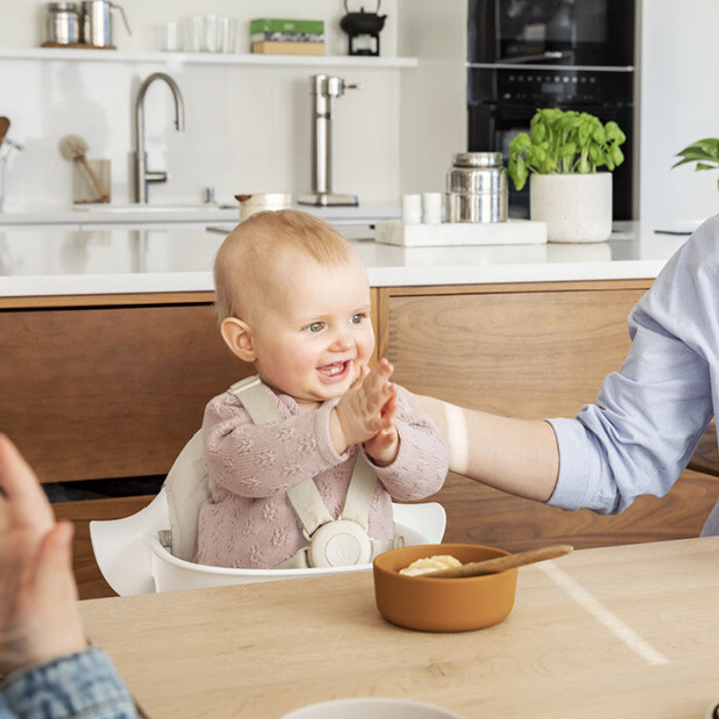 Nomi High Chair Bundle