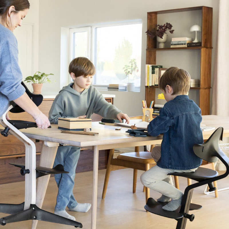 Nomi High Chair Bundle