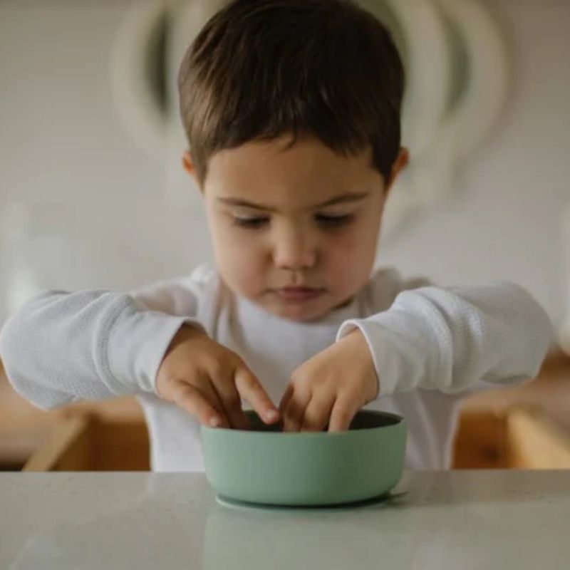 Silicone Suction Bowl