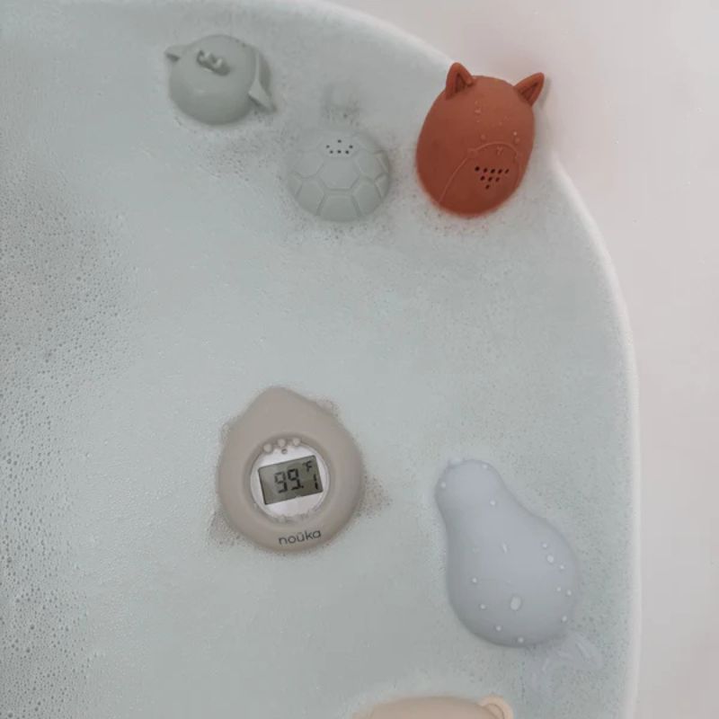 Bathtub Safety Thermometer