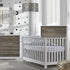 Vibe 5-in-1 Convertible Crib by Nest by Natart at $959! Shop now at Nestled by Snuggle Bugz for Cribs.