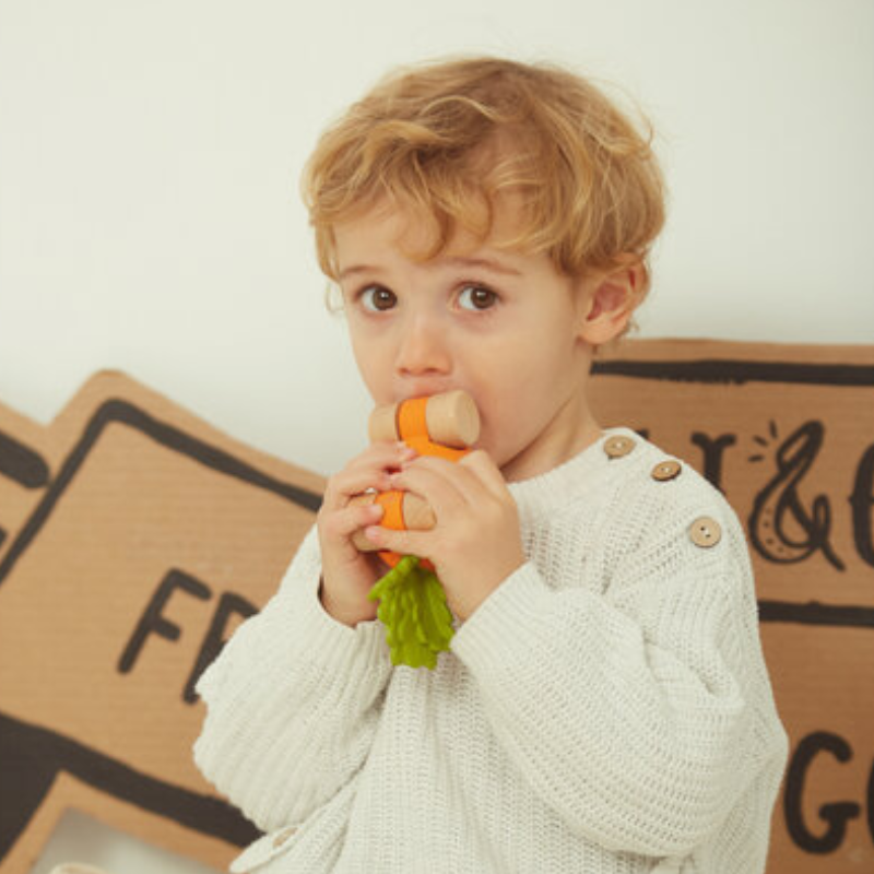 The Veggie Baby Toy Car