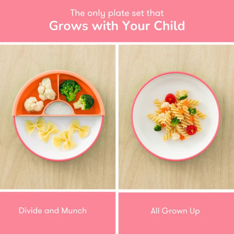 Easy Scoop Plate - Set of 3