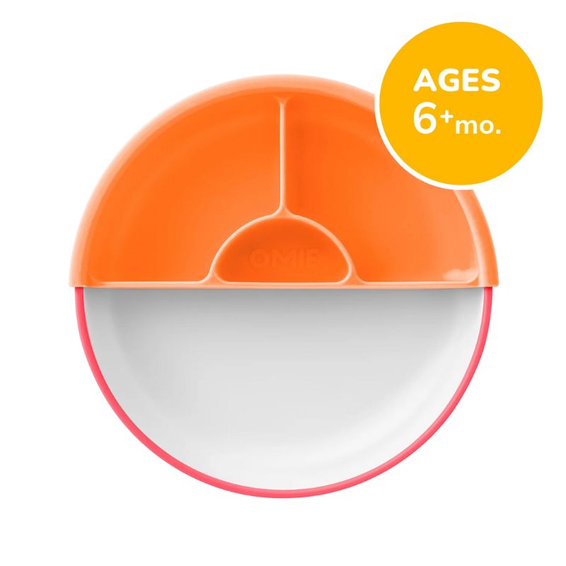 Easy Scoop Plate - Set of 3