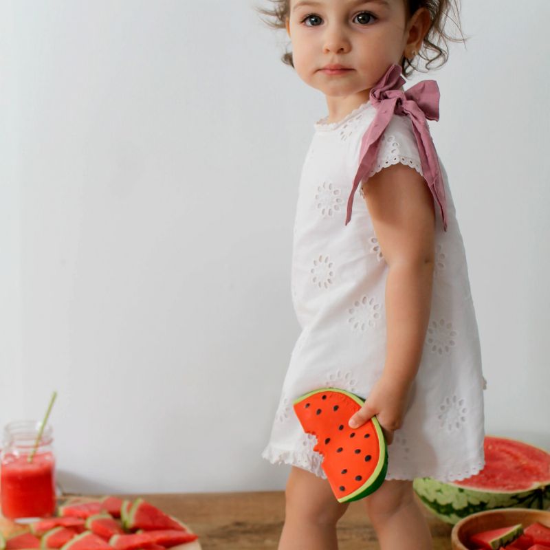 Fruit and Veggie Teethers Wally The Watermelon