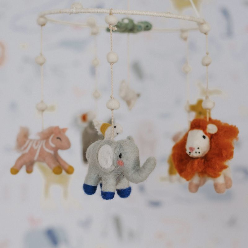 Classic Mobile Into the Wild 