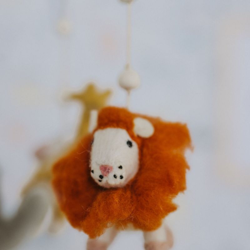 Classic Mobile Into the Wild 