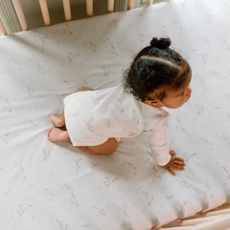 Crib Sheet