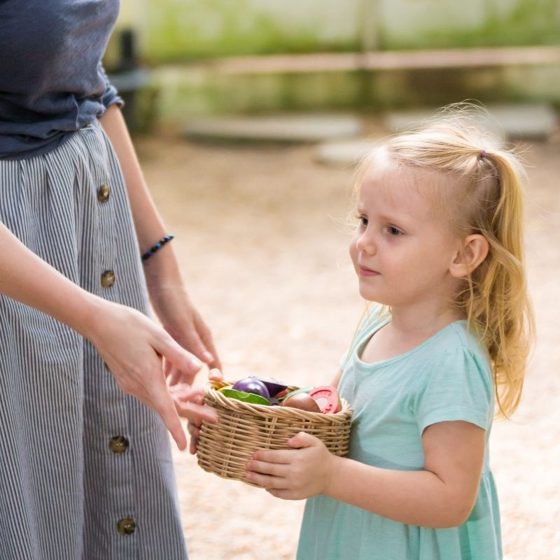 Assorted Fruit & Vegetables 