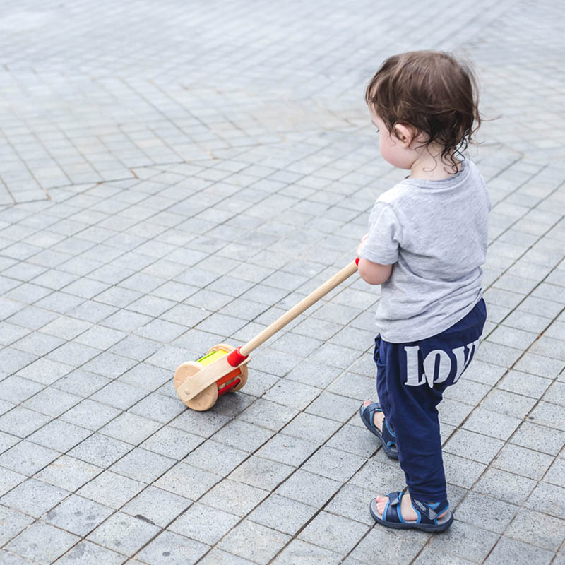 Walk N' Roll Push & Pull Toy