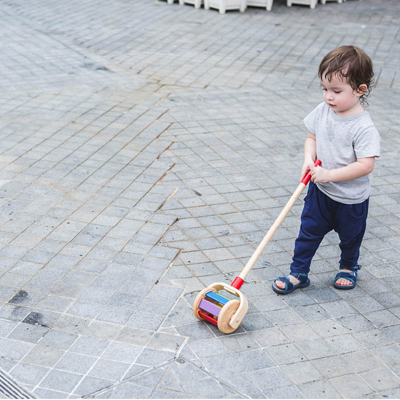 Walk N' Roll Push & Pull Toy