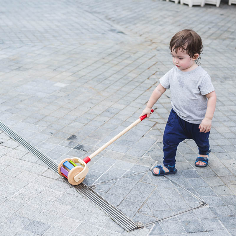 Walk N' Roll Push & Pull Toy