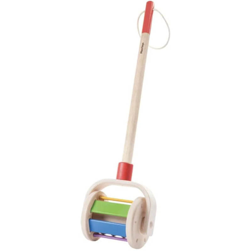 Walk N' Roll Push & Pull Toy