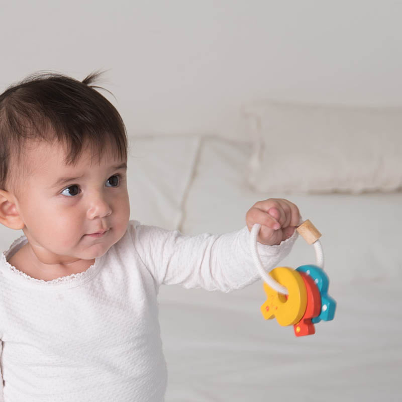 Baby Key Rattle