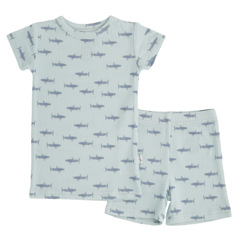 2 Piece Ribbed Cotton Short-Sleeve & Short Set