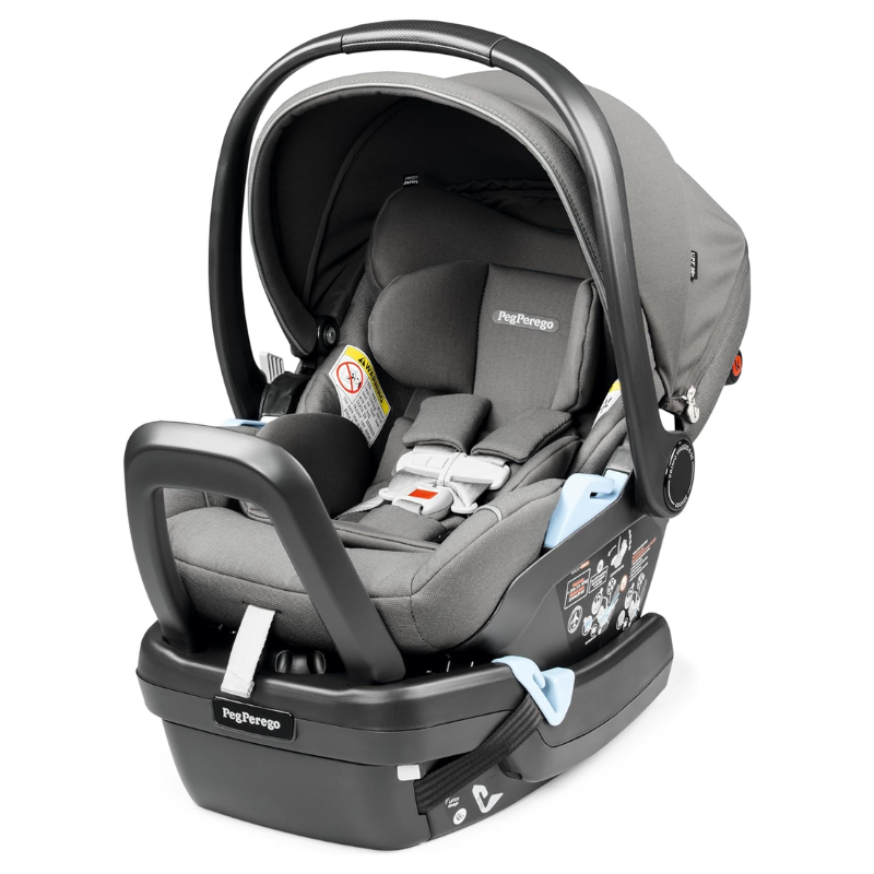 Primo Viaggio 4-35 Nido Infant Seat, Snuggle Bugz