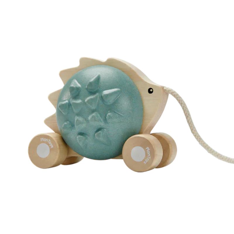 Pull-Along Hedgehog Blue