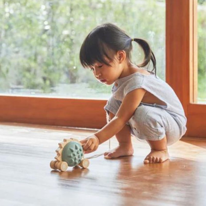 Pull-Along Hedgehog Blue