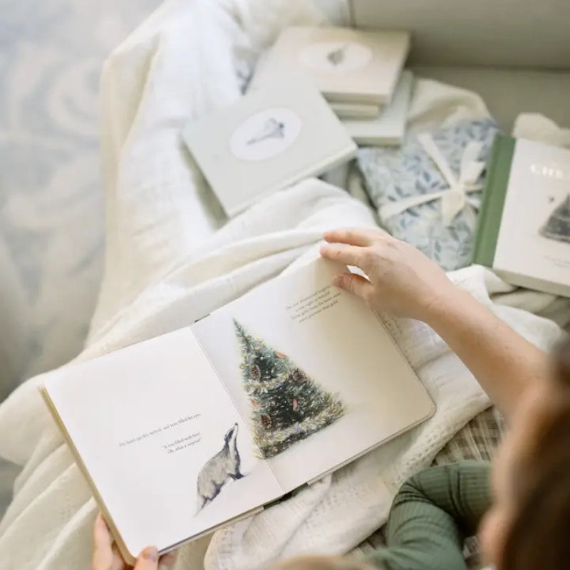 Our Little Adventure at Christmas Board Book