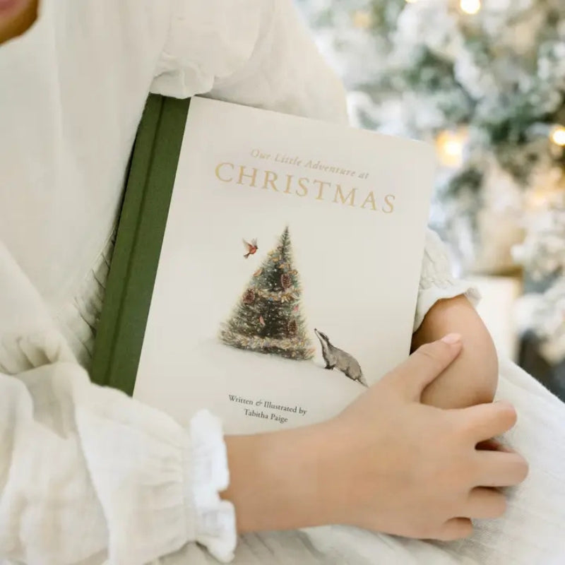 Our Little Adventure at Christmas Board Book