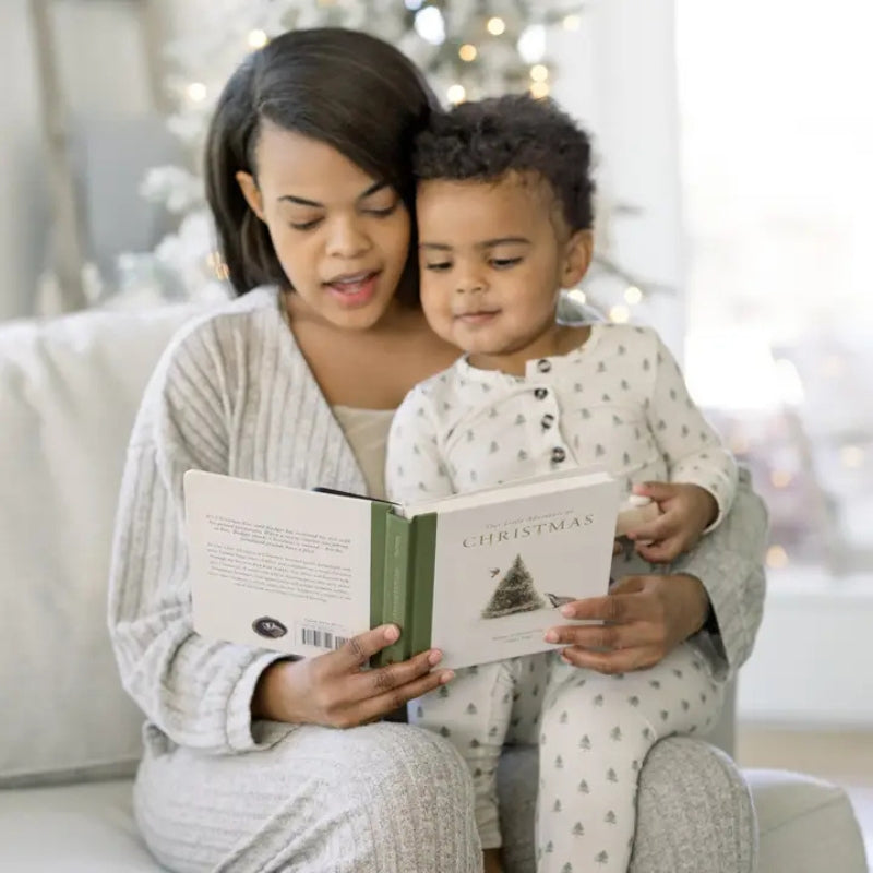 Our Little Adventure at Christmas Board Book