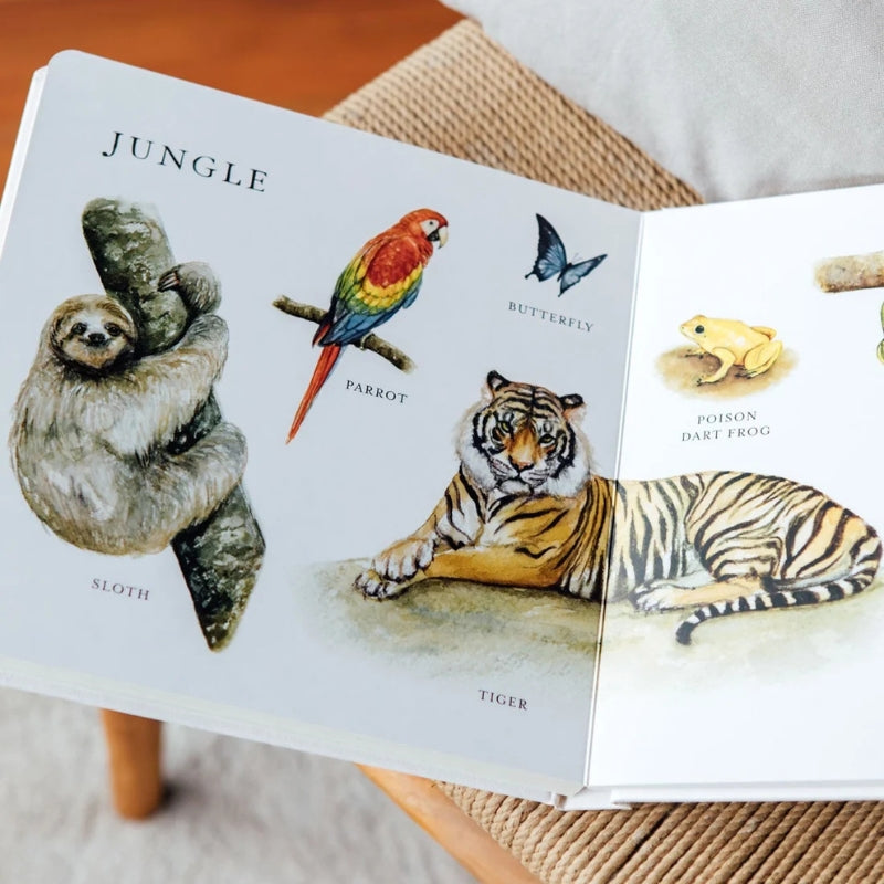 Our Big Book of Animals Board Book