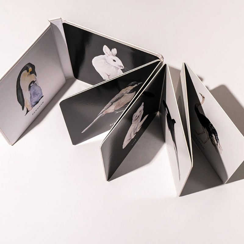 Baby's Black and White Contrast Book