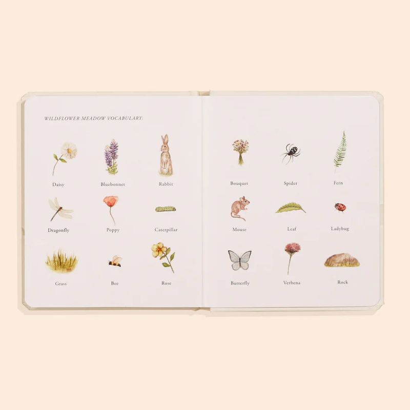 Our Little Adventures Box Set