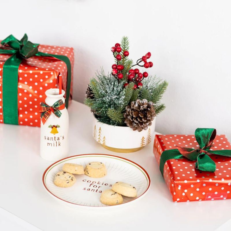 Ensemble biscuits et lait du Père Noël