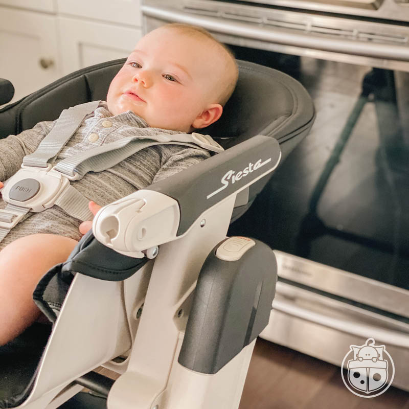 Siesta High Chair Snuggle Bugz Canada's Baby Store