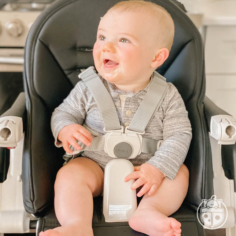 peg perego siesta high chair canada Siesta High Chair | Snuggle Bugz