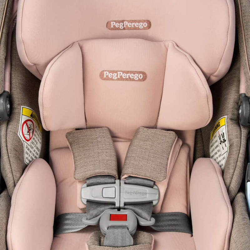 Primo Viaggio Kinetic Convertible Car Seat, Snuggle Bugz