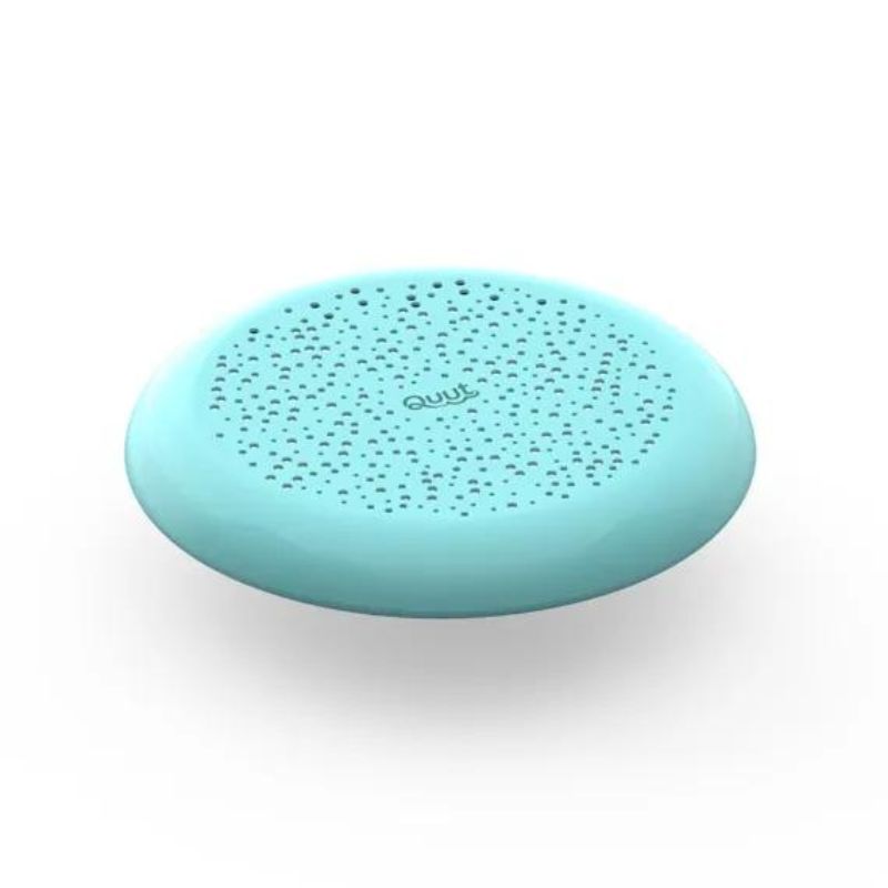 Flying Disc and Sand Sifter