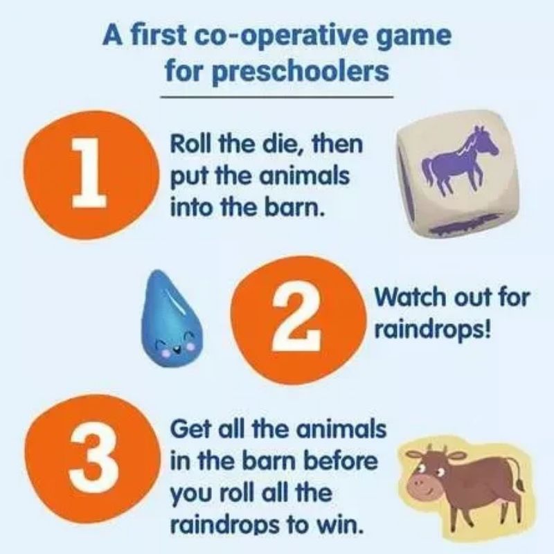 Rainy Ranch Board Game